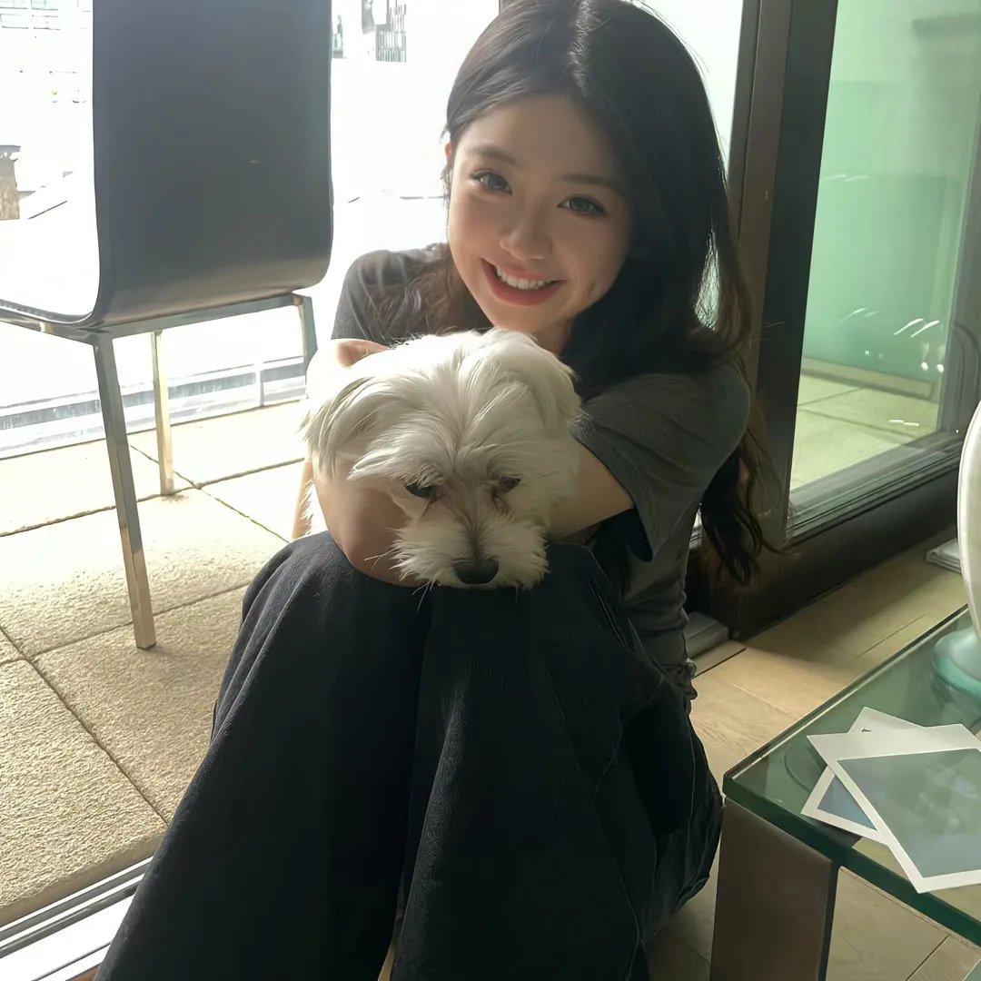 丑闻录带大阴谋